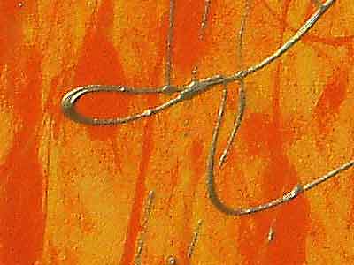 AUSSCHNITT VERGR&Ouml;SSERT